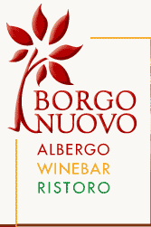 logo Borgonuovo